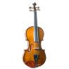 Violín Stentor Student I 1/10