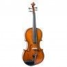"Viola Gliga Genial I 13"""