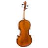 "Viola Gliga Genial I 14"""