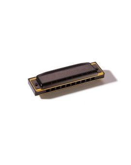 Armónica Hohner Pro Harp 20V 562/20 (B)