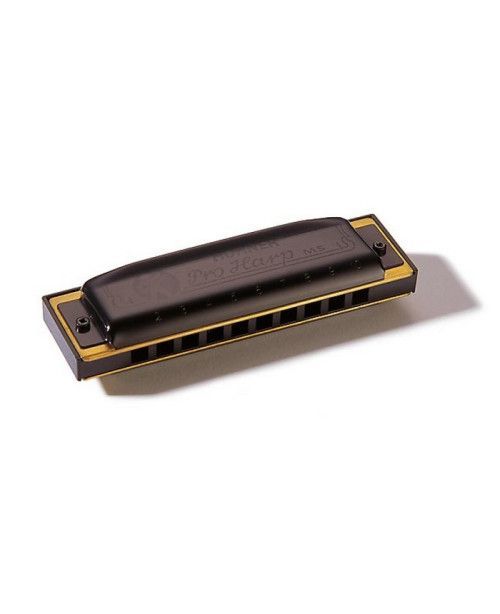 Armónica Hohner Pro Harp 20V 562/20 (Eb)