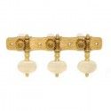 Clavijero Clásica Gotoh 35G510C-M-GG
