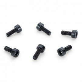 Recambios Floyd Rose Schaller Bolsa 6 Tornillos Bloq. Patin 20703000