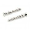 Recambios Floyd Rose Schaller 2 Torn. Pivote a Madera Crom 20430200