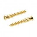 Recambios Floyd Rose Schaller 2 Torn. Pivote a Madera Dorado 20430500