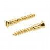 Recambios Floyd Rose Schaller 2 Torn. Pivote a Madera Dorado 20430500