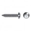 Tornillo Clavijero
