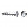 Tornillo Clavijero