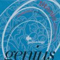 Cuerda 2ª Galli Titanium Tensión Normal Clásica GR-3452