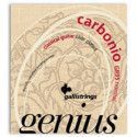 Cuerda 2ª Galli Carbono Tensión Normal Clásica GC-9002