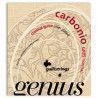 Cuerda 2ª Galli Carbono Tensión Normal Clásica GC-9002