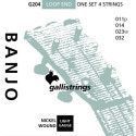 Juego Banjo Galli G-204