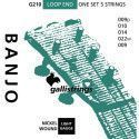Juego Banjo 5 Cuerdas Galli G-210