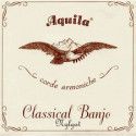 Juego Cuerdas Banjo Aquila 5-B 5 Cuerdas