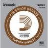 Cuerda Guitarra Acústica D'Addario PB-021B