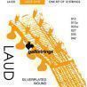 Cuerda 2ª Laúd Galli (Par)