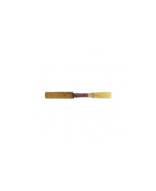 Caña oboe KGE Student Medium