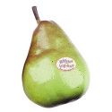 Fruit Shaker Rhythm Tech Pera RT2056