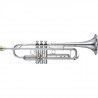 Trompeta Yamaha Custom YTR 8335RGS