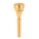 Boquilla Trompeta Denis Wick 4882-5 Dorada