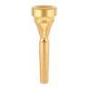 Boquilla Trompeta Denis Wick 4882-2W Dorada