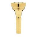 Boquilla Trombón Denis Wick 4880-5BL Dorada