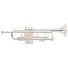 Trompeta Bach Stradivarius ML-180/43 Lacada