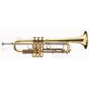 Trompeta Vincent Bach VBS-1 Lacada