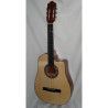 Tres Cubano APC 3CUB-100-S-CW Cutaway Electrificado