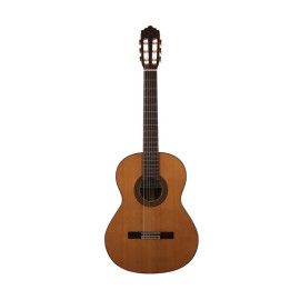 Guitarra Altamira N300
