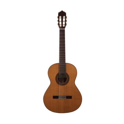 Guitarra Altamira N300