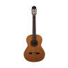 Guitarra Altamira N300