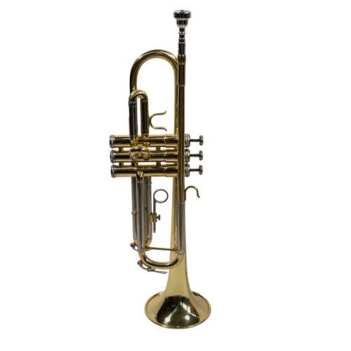 Trompeta Taylor Collins TR-1 Sib