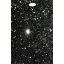 Estuche Saxo Alto K·Ses Premium Fusion Negro Brillo