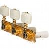 Clavijero Clásica Gotoh 35G620-EI-GG