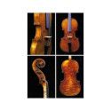 Violín Jay Haide Guarneri Antiqued Cuerdas Vision Solo