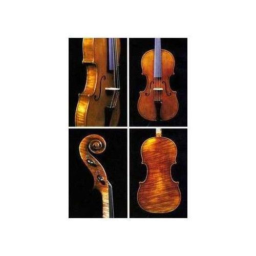 Violín Jay Haide Guarneri Antiqued Cuerdas Vision Solo