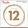 Juego Fender Acústica Phosphor Bronze 60-L (012-053)
