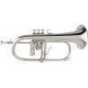 Fliscorno Yamaha YFH-8310ZGS