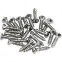 Juego 24 Tornillos Golpeador/Control Plate Fender Cromo 099-4923-000