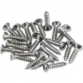 Juego 24 Tornillos Golpeador/Control Plate Fender Cromo 099-4923-000