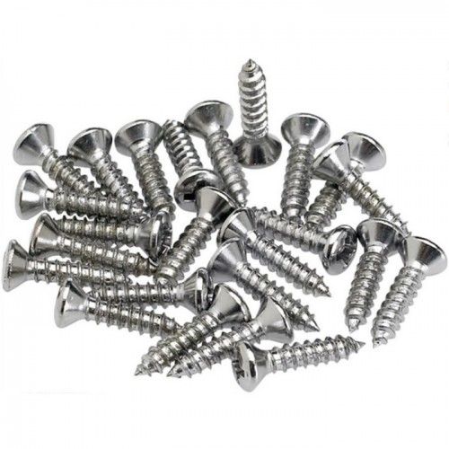 Juego 24 Tornillos Golpeador/Control Plate Fender Cromo 099-4923-000
