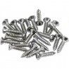 Juego 24 Tornillos Golpeador/Control Plate Fender Cromo 099-4923-000
