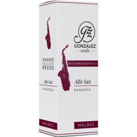 Caja 5 Cañas Saxo Alto Gonzalez Malbec 2½