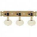 Clavijero Clásica Gotoh 35G620-2M-GG