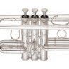 Trompeta Yamaha en Do YTR 8445S