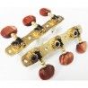 Clavijero Clásica Gotoh 35G1800-2R-SB