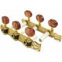 Clavijero Clásica Gotoh 35G1600-2R-GG