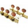 Clavijero Clásica Gotoh 35G1600-2R-GG
