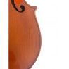 Viola F. Müller Virtuoso 16,5"" set (B-stock nº 290 16,5''